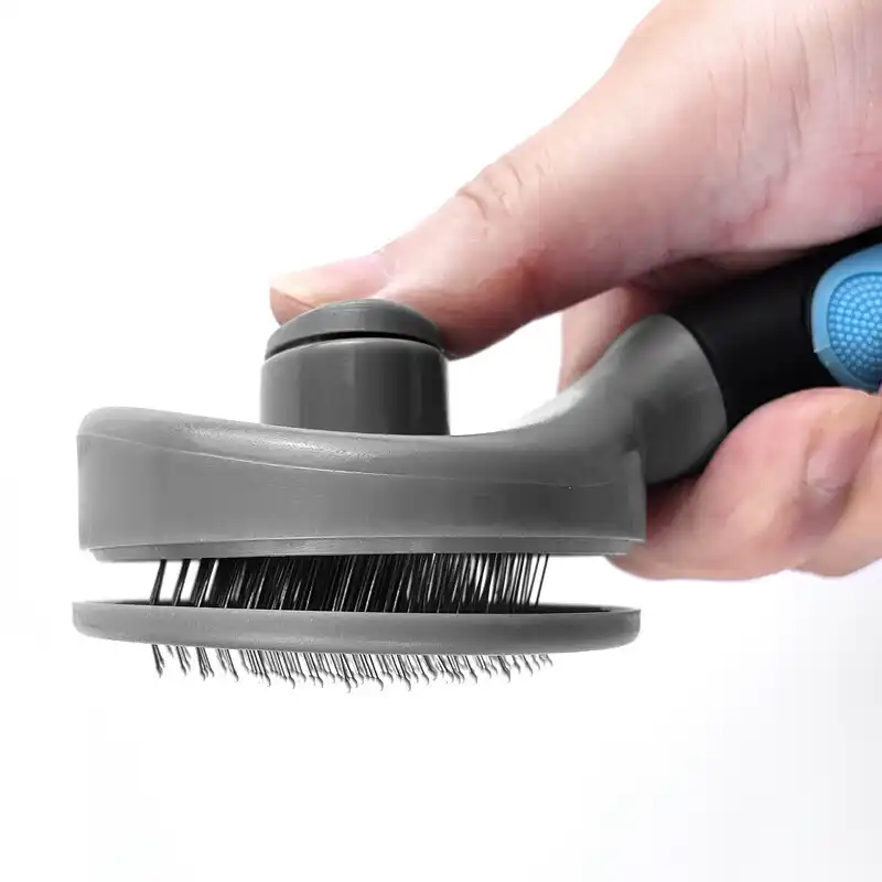 Animal De Compagnie Chien Auto Nettoyage Brosse Chien Chat Efficace Perte Outil Brosse Peigne Rapide Propre Courte Epilation Animal Toilettage Peigne Fournitures Aliexpress Animal De Compagnie Chien Auto Nettoyage Brosse Chien Chat Efficace Perte Outil Brosse Peigne Rapide Propre Courte Epilation Animal Toilettage Peigne Fournitures Aliexpress