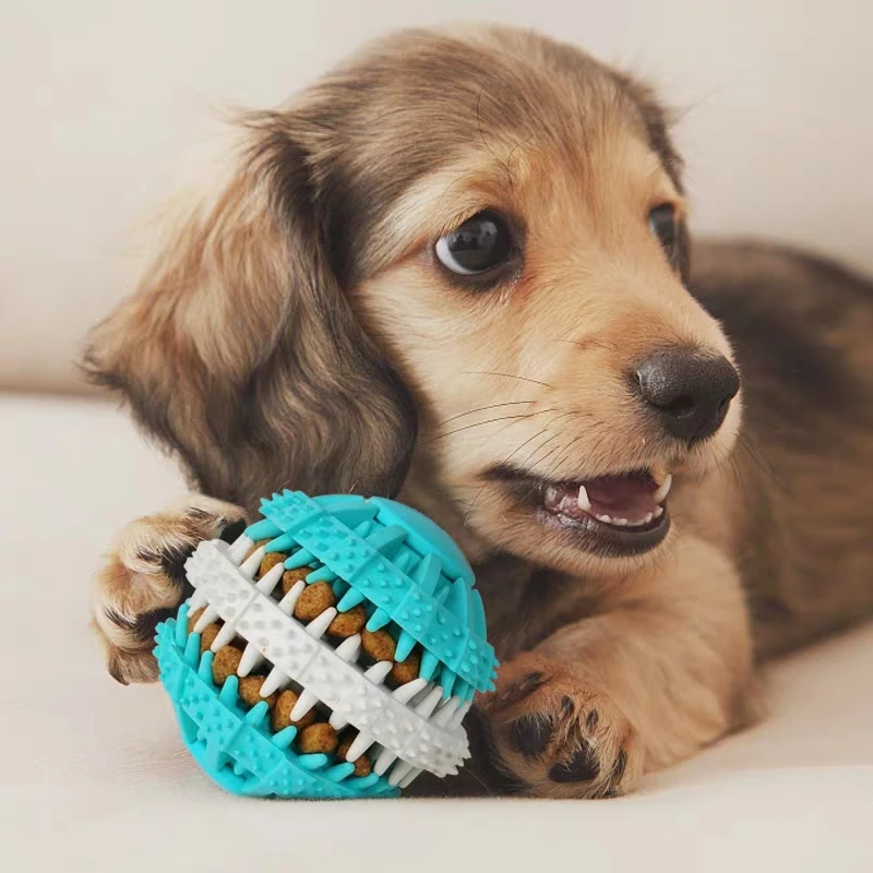 

Dog Toys Interactive Health Rubber Molar Toy Resistant To Bite Tooth Cleaning Chew Training For Pet Dogs Cat Puppy Teeth Stick