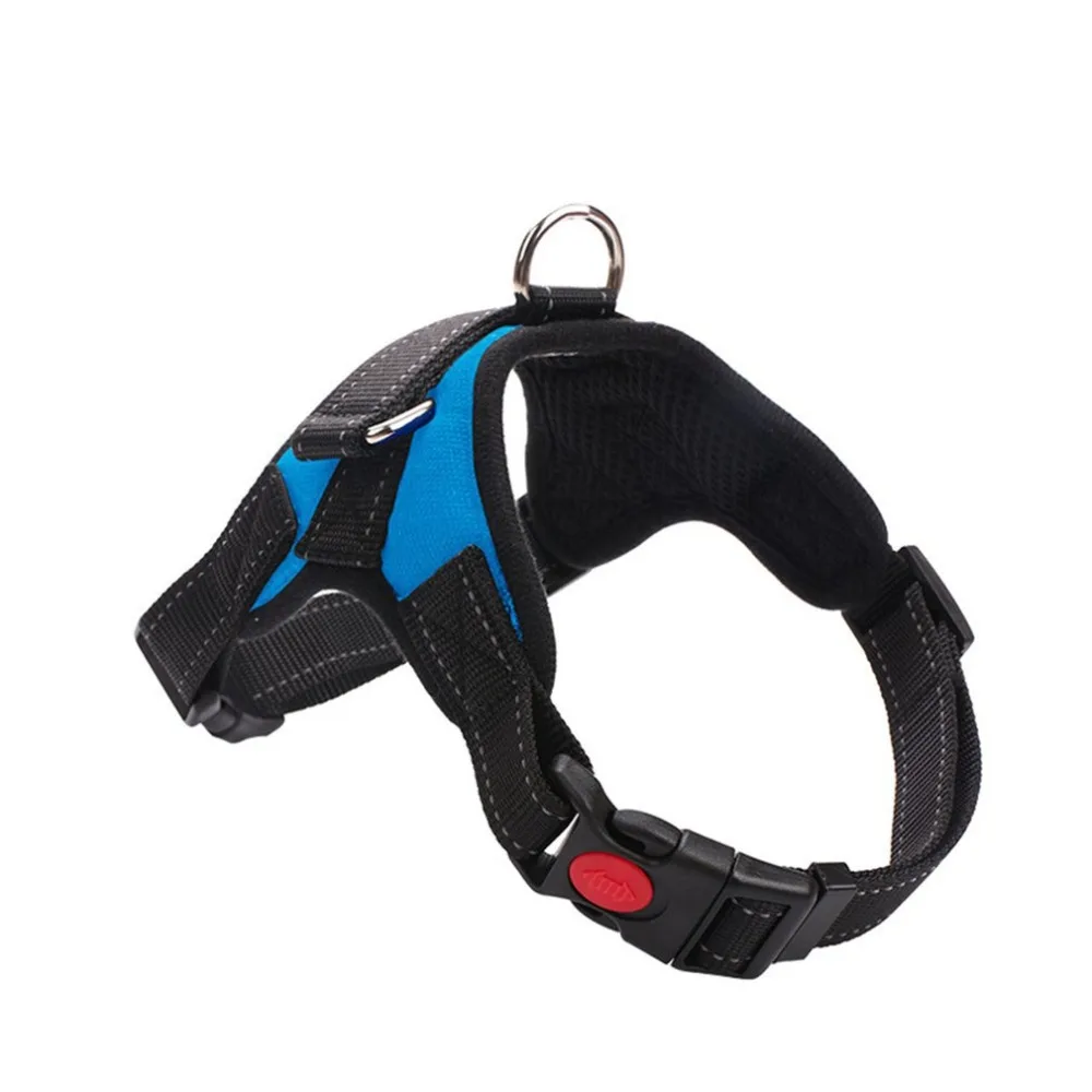 YY10625301-ALL-053101-1