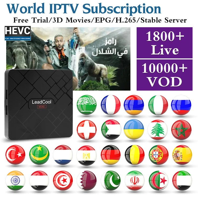 

Leadcool MINI IPTV French Arabic Netherlands IPTV France Subscription Android 8.1 Smart TV Box 1 Year QHDTV IPTV Germany Algeria