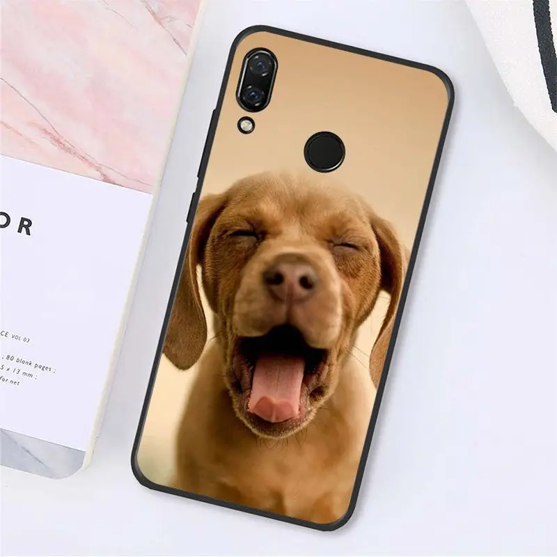A9 MaiYaCa Cute Animal Dachshund Dog Puppy Phone Case for Xiaomi Redmi8 4X 6A S2 Go Redmi 5 5Plus Note5 7 Note8Pro - Color: A9