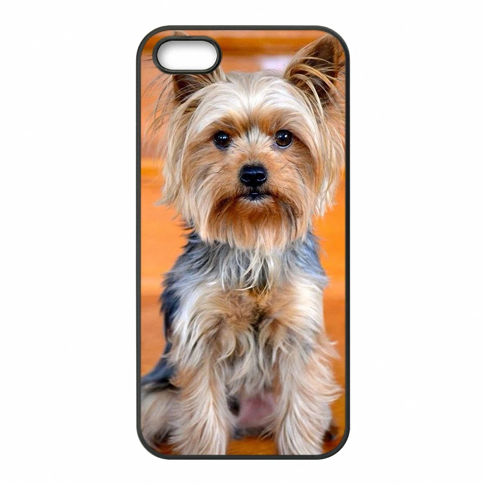 KETAOTAO Йоркширский терьер Chiot Chien чехол для телефона s для iPhone 4S 5C 5S 6S 7 8 SE 5Plus XR XS Max чехол из мягкого ТПУ резины силикона - Цвет: Небесно-голубой