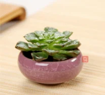 Лаванда 1 шт. симпатичная ледяная глазурь цветочная керамическая растение суккулент горшок миниатюрный домашний офис декоративный горшок для цветов Настольный цветок горшки Новое поступление Горячая - Цвет: Лаванда