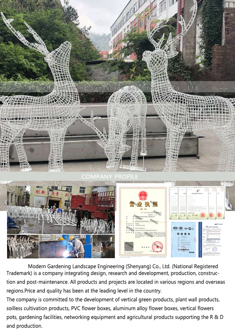 详情页英文版_01