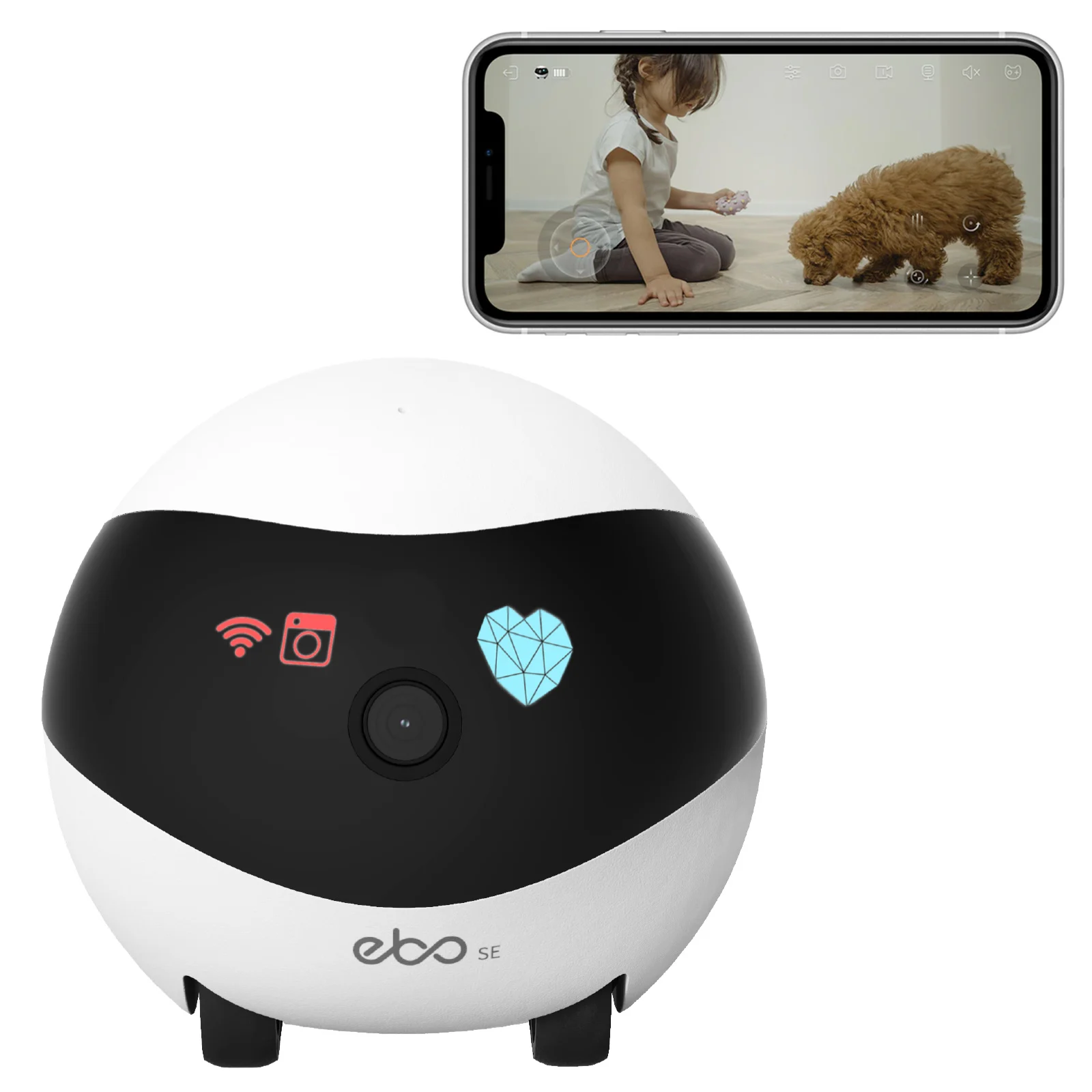 Ebo SE Catpal The Smart Robot Companion for Your Cat photography umbrella