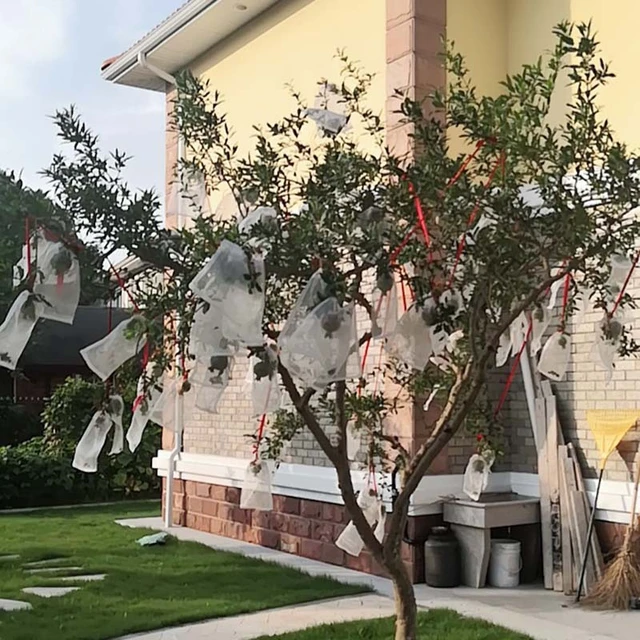 1 Pc Nejlon Hálózsák Rovarálló Kerti Növényi És Gyümölcsvédő Zsák Kártevőirtó Madárgyilkos Táskák - Image 3