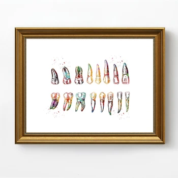 

WANGART Kind of Tooth Poster Dental Art Dentist Canvas Painting Modern Art Wall Picture For Medical Education Office Home Decor