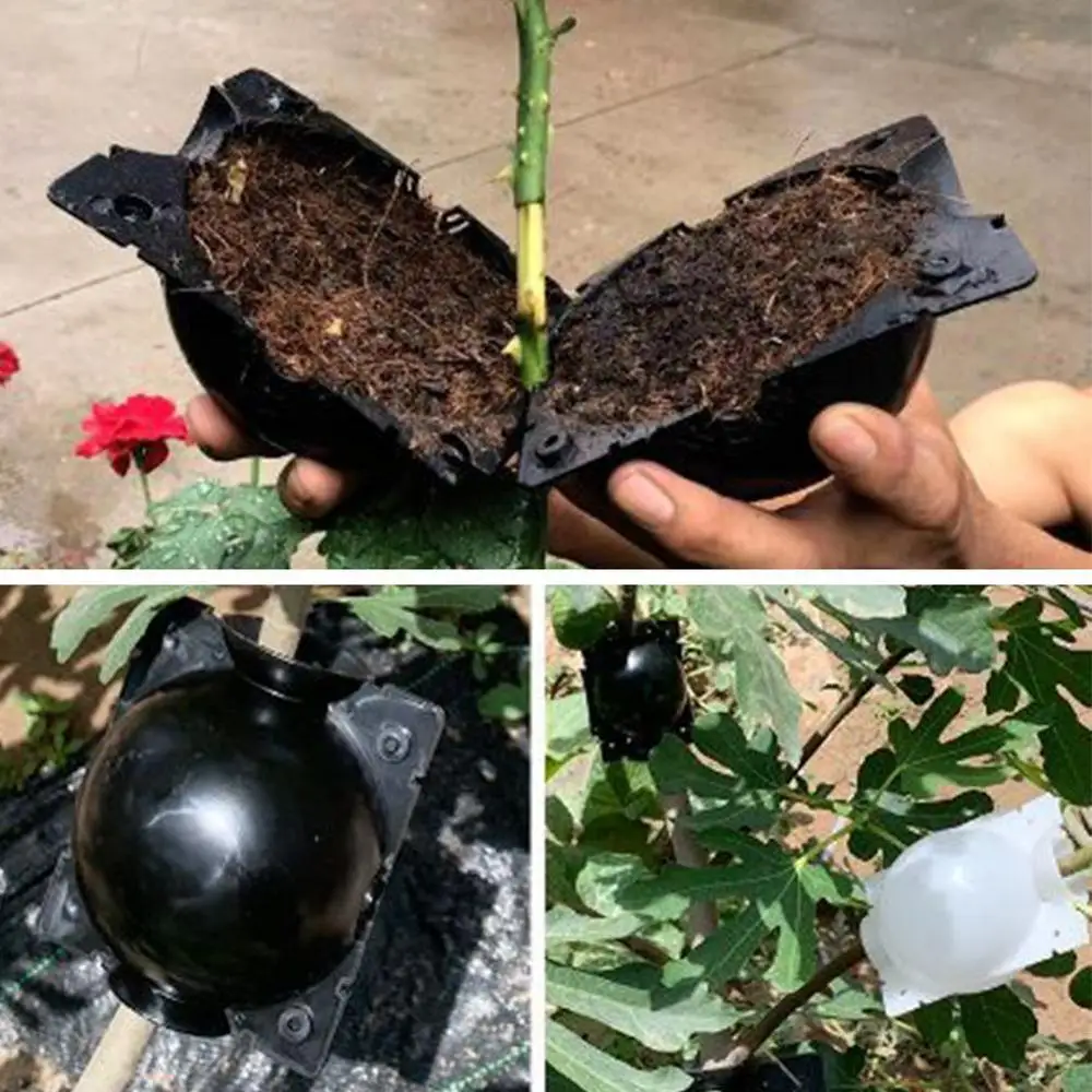 

5pcs Plant Rooting Ball Grafting Rooting Growing Box Breeding Case Plant Root Growing Box For Garden 5/8cm In Diameter.