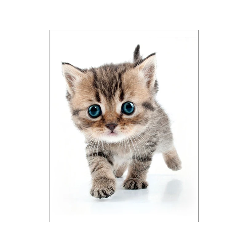 

Cats 3D Wall Sticker Toilet Stickers Hole View Bathroom for Home Decoration Animals Vinyl Decals Art Sticker DROP SHIPPING