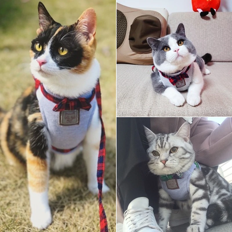 designer leather cat collars