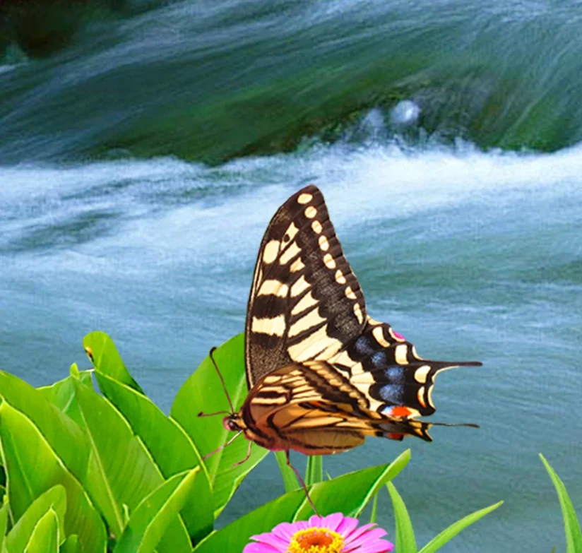 QQ截图20191220232952