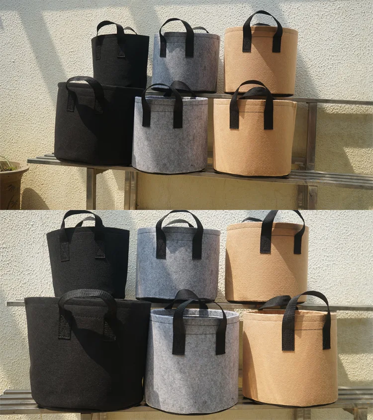 12052419227_1432856766