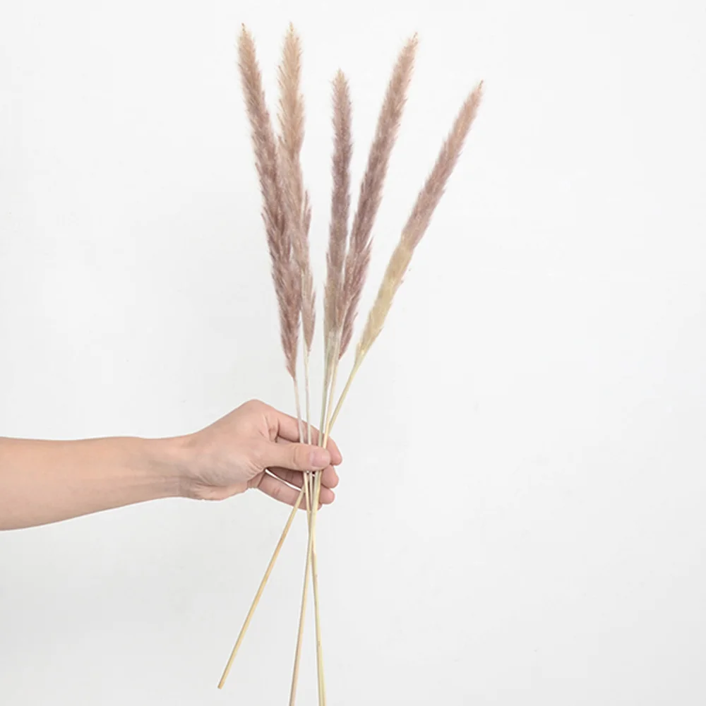 O1CN01A81BXo2F2WZZcnquz_!!82938822