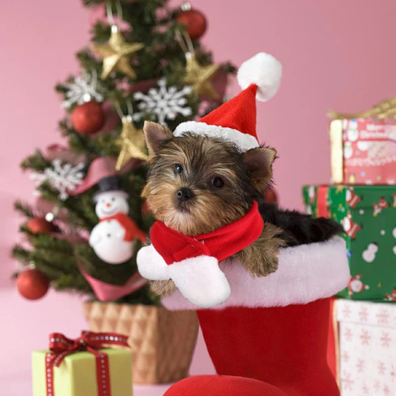 Pet Santa шляпа шарф и воротник галстук-бабочка собака головной убор для кошки