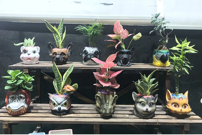 11885245485_1852240639