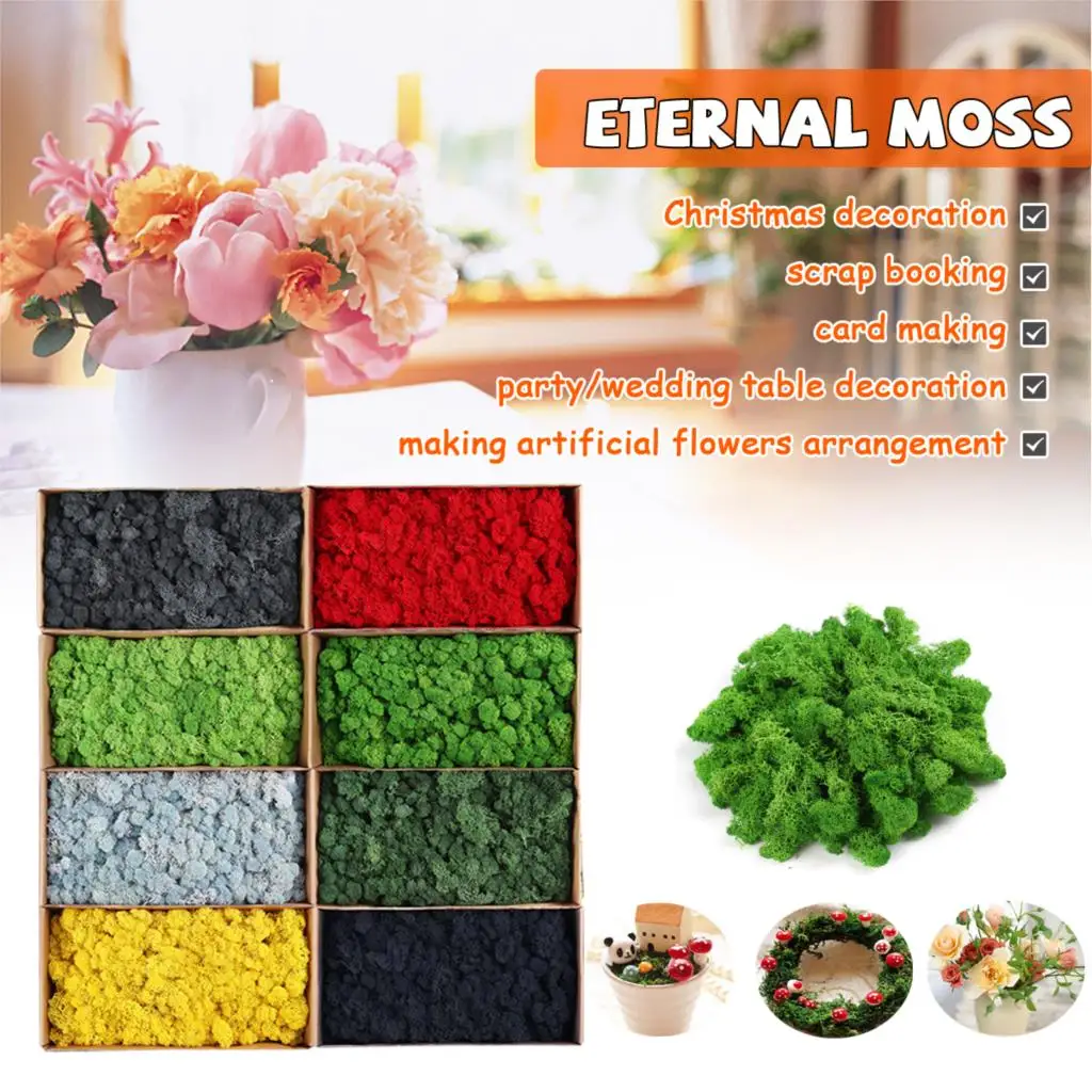 

DIY Islandmoos versch Farben Getrocknete Moos Moss Deko Floristik Modelbau 500g Party Holiday DIY Decorations