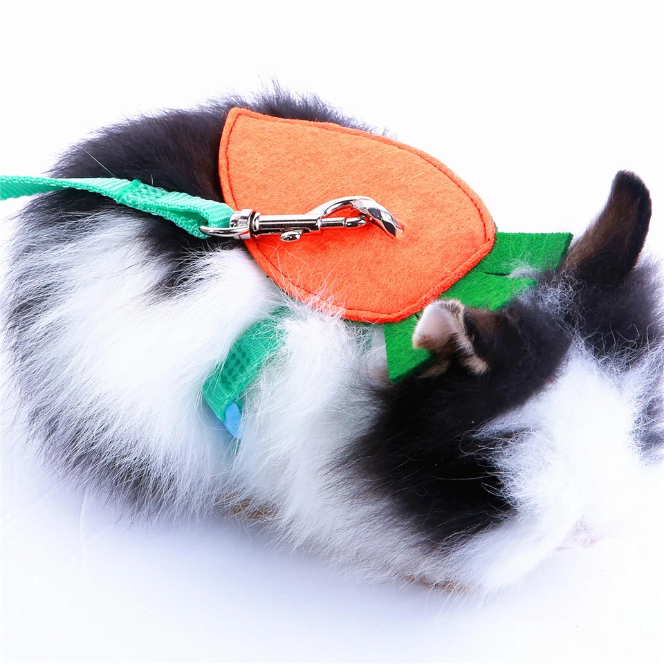 guinea pig harness
