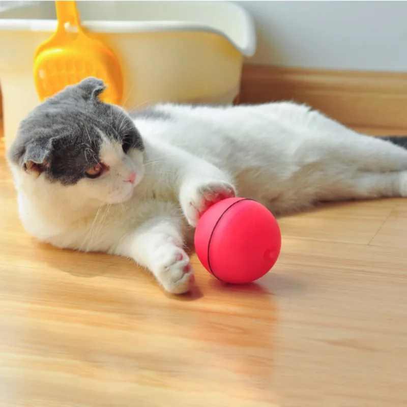 Pet Cat Dog Ball Molars Chew Toy Laser Ball With Light Training