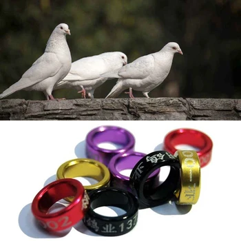 

30 Pcs Mixing Color Pigeon Bands Bird Foot Ring Species Identify Training Rings