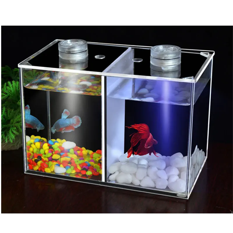 Dual Compartment Acrylic Fish Bowls Mini Desktop Fish Tank Aquarium