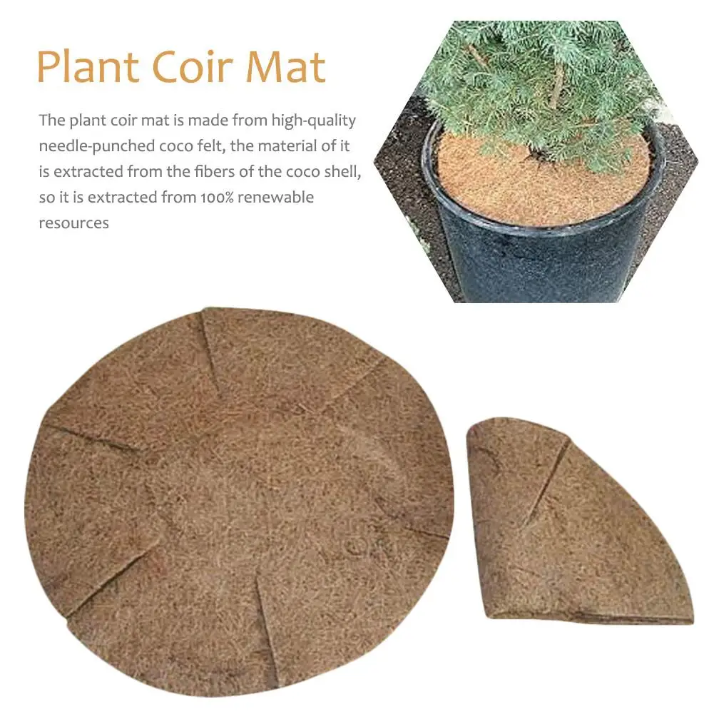 Coconut Mat Natural Coconut Coco Liner Coconut Palm Carpet For Wall