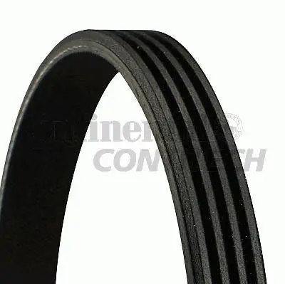 Belt polyv 4pk819elast (ContiTech) | Автомобили и мотоциклы