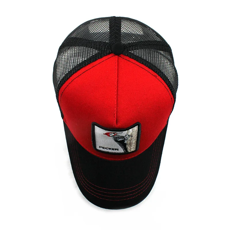 10589005028_1424423369