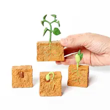 Modèle de Cycle de croissance des plantes haricots verts, 4 pièces, modèle de Cycle de vie des plantes, jouet éducatif, modèle de stade de croissance pour enfants 