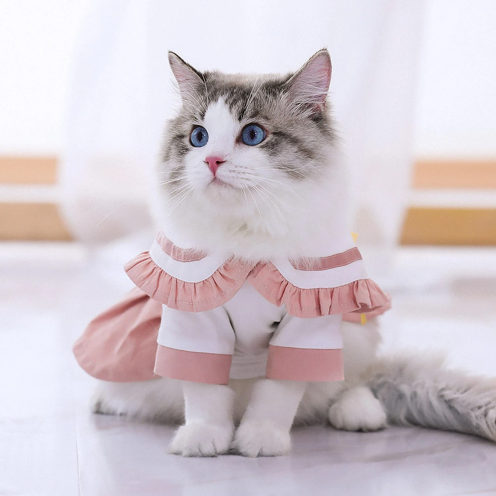 Animal cat dress Clearance