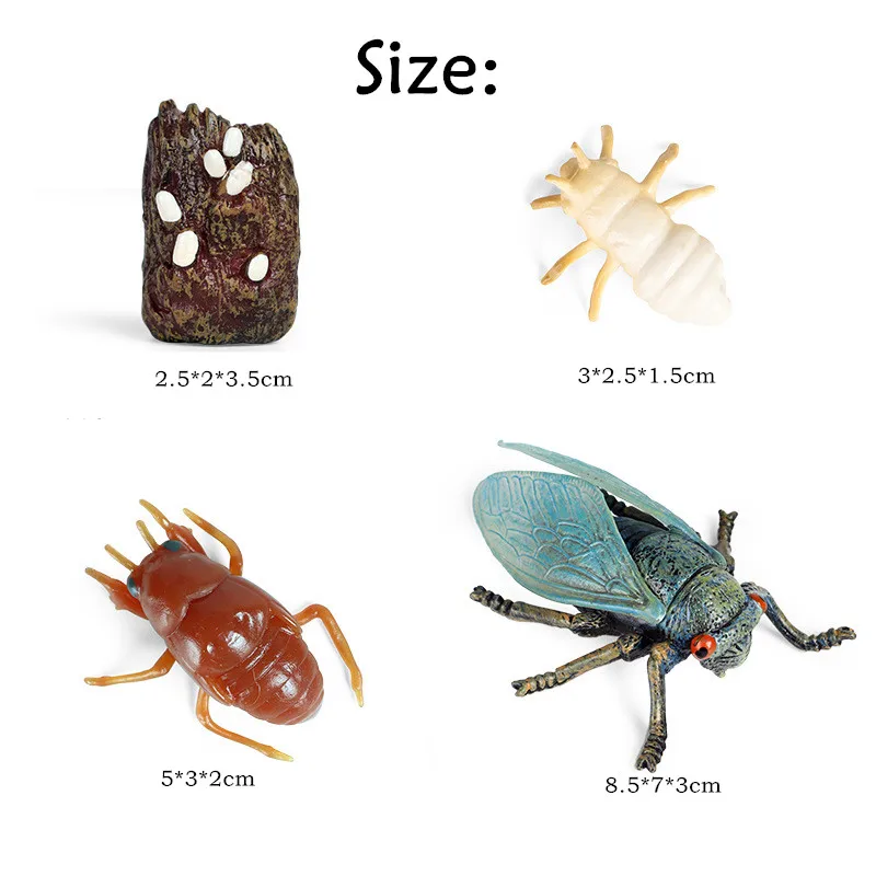 22399518265_1464955482_副本a