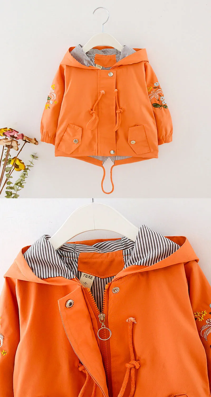 11322921312_1077488380