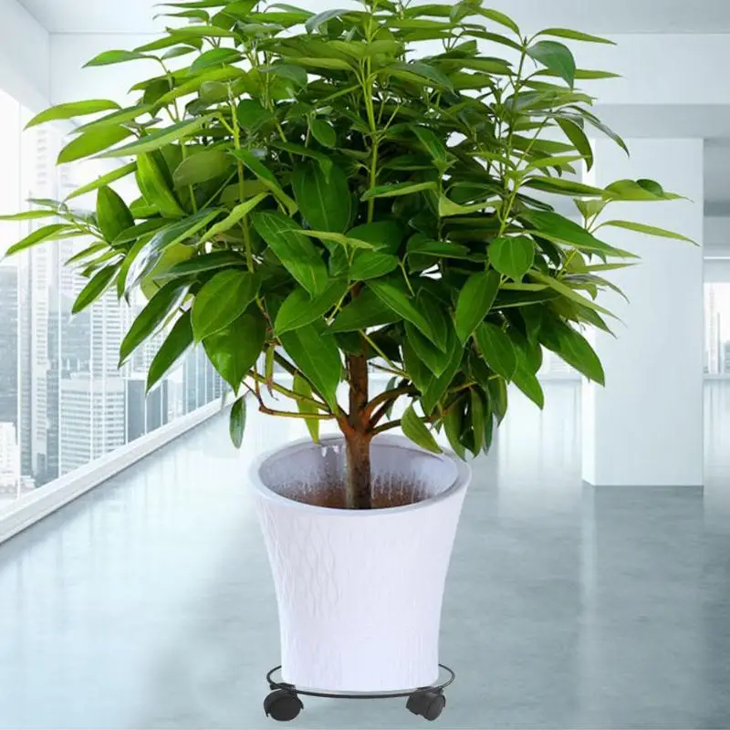 

Heavy Duty Iron Rack Practical Potted Plant Bonsai Stand Flower Pot Wheel Holder Necessary Home Flowerpot Metal Rack