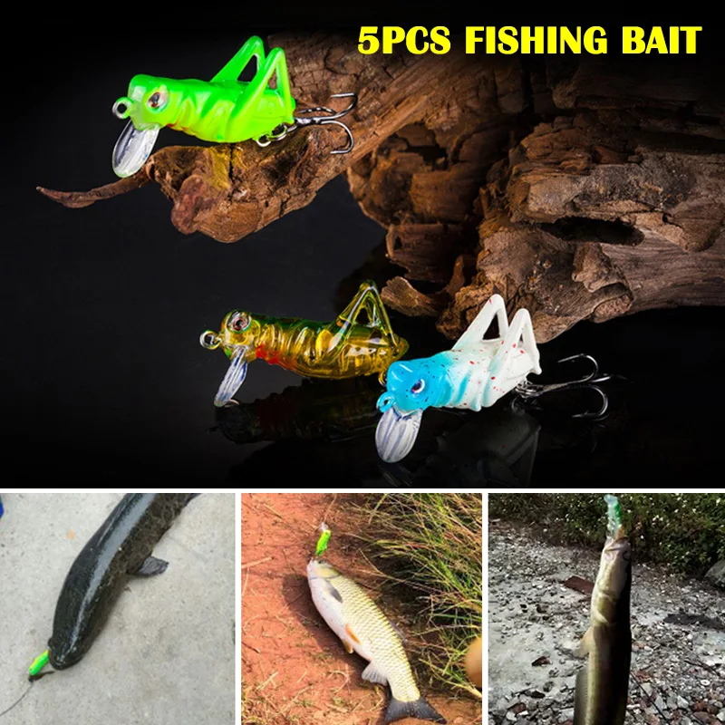 

5pcs Minnow Bass Insect Fishing Lures Crank Bait Floating Tackle Hooks FDX99