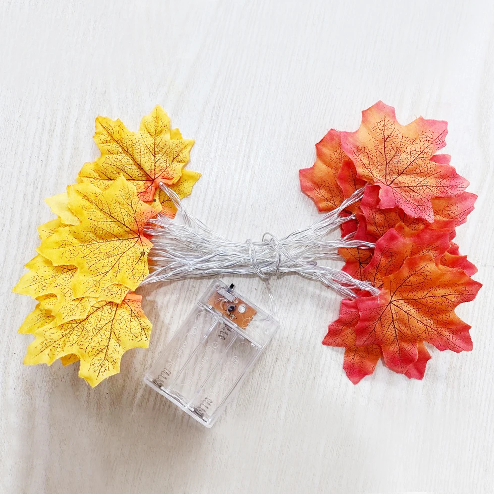 19131476490_1099349780