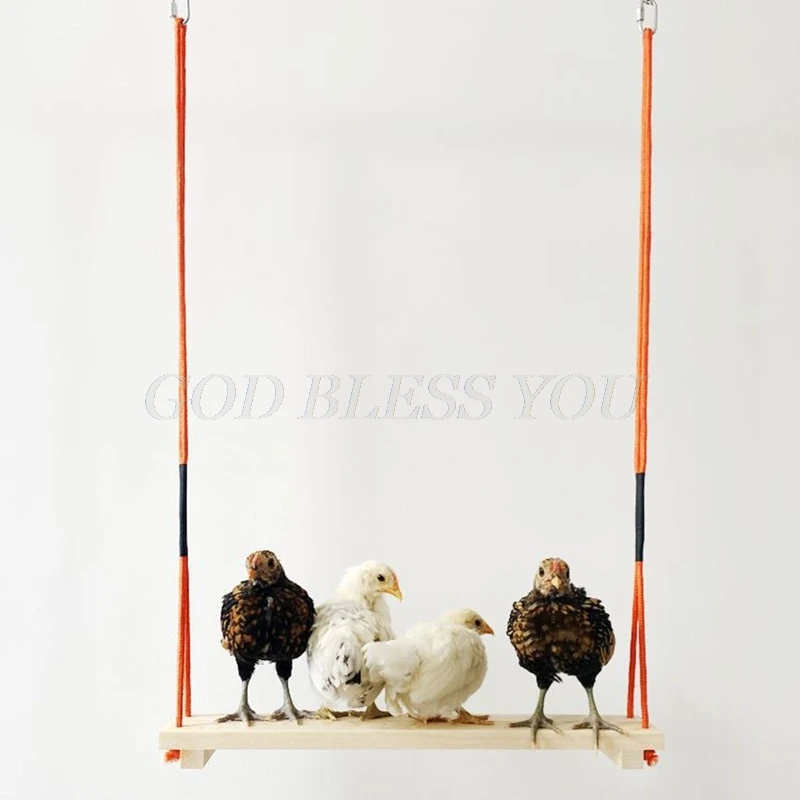 Columpio y escalera para pollos, soporte colgante de madera hecho a mano, gallinero, pollos, gallinas, mordedores, juguetes para ejercicios para pájaros grandes, envío directo