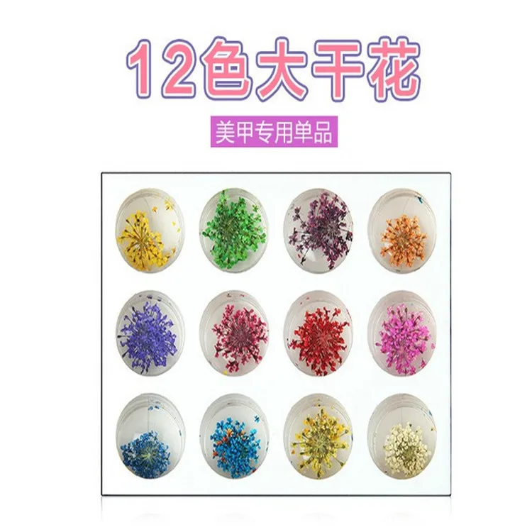 12色大干花2