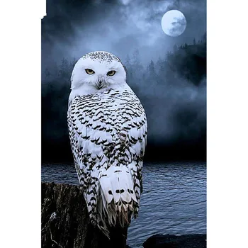 

5D DIY Full Square Diamond Painting Cross Stitch "White owl" 3D Diamond Embroidery Rhinestone Mosaic Home Decor Gift