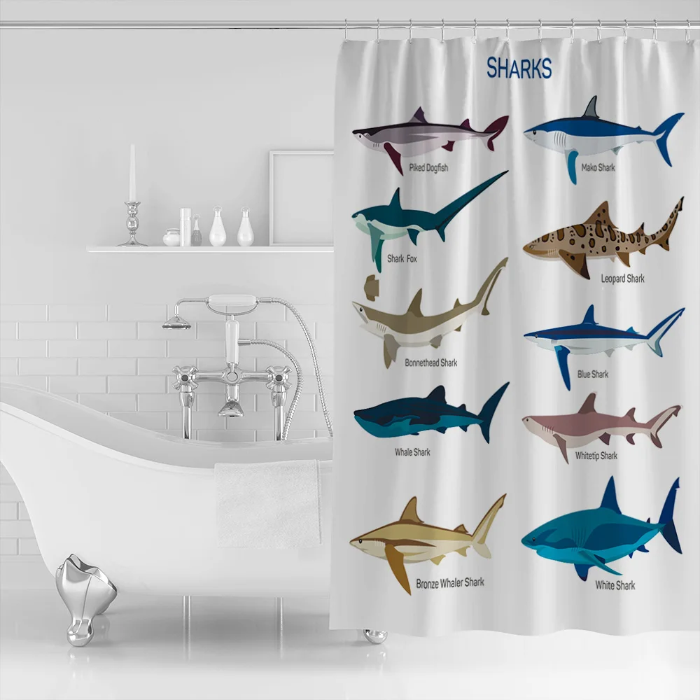 HTB1zT6pXaL7gK0jSZFBq6xZZpXaT