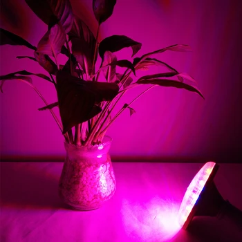 

E27 Led Bulb Lights 220V Led Grow Light Full Spectrum Plant Light Indoor Lamp Tent Garden Grow Lighting For Plants Growth
