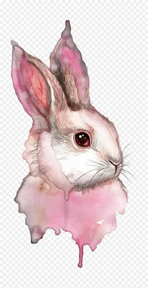 水彩画兔水彩 动物绘画 兔子png图片素材免费下载 图片编号 Png素材网
