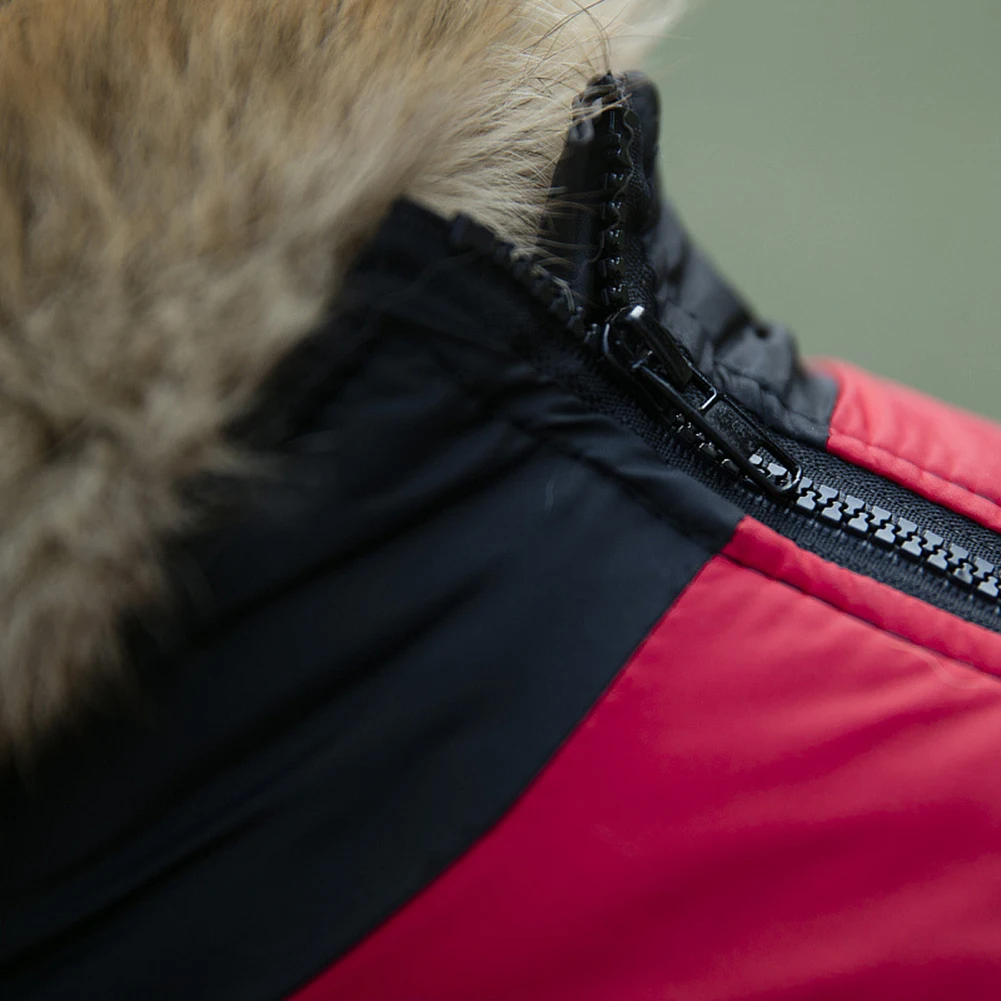 Зимняя одежда для собак и щенков, жилет на молнии, футболка, повседневная куртка с пряжкой