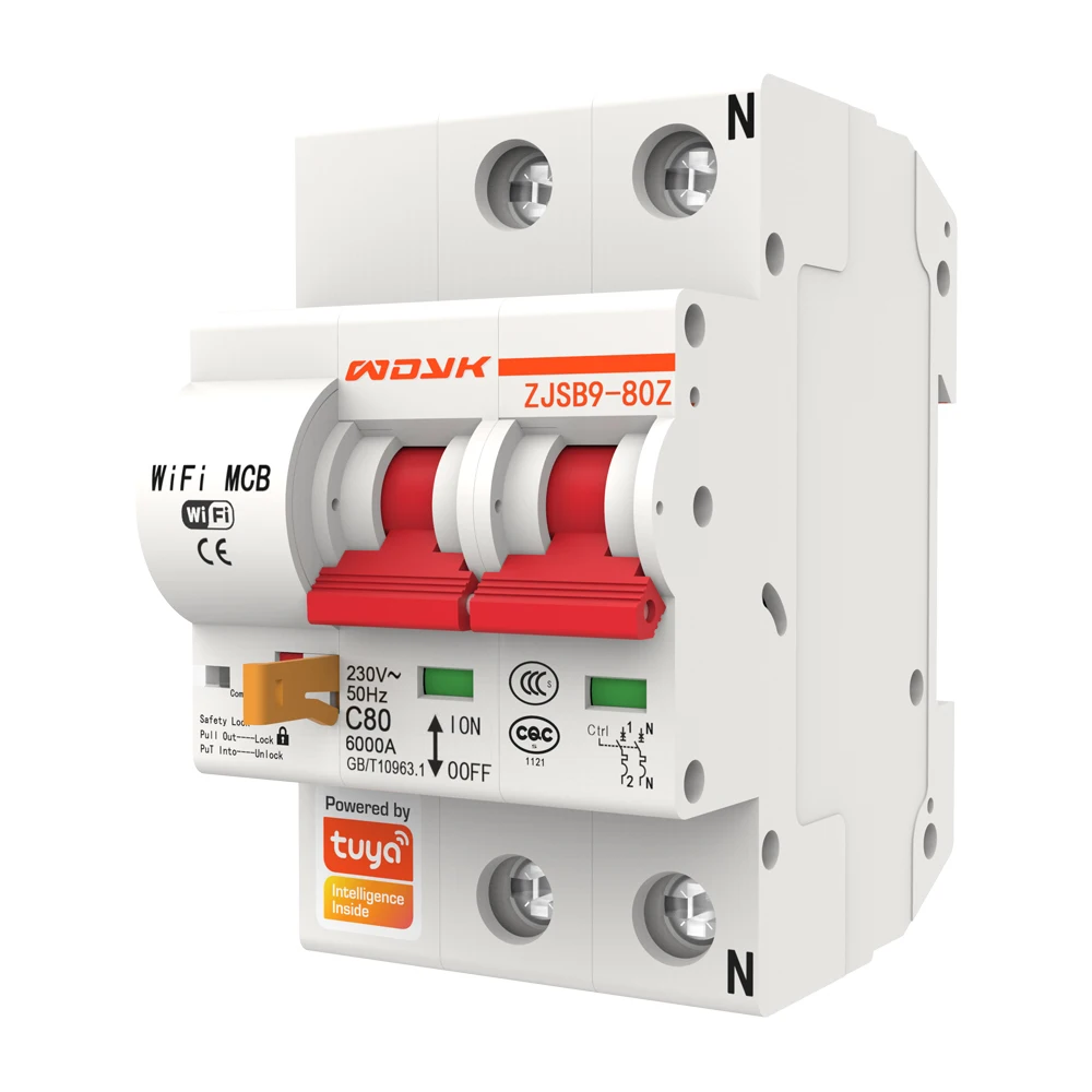 

2P WiFi Intelligent Circuit Breaker with Energy Monitoring and Meter Function Works with Alexa and Google home 100V / 220V