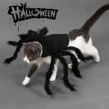 

Felt Cloth Black Cat Spider Costume Spider Pet Costumes Funny Dog Holiday Atmosphere Masquerade Creative Party Supplies 2019
