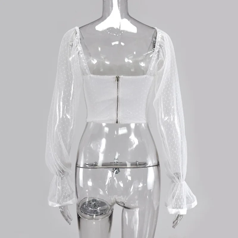 17469038268_1346276496