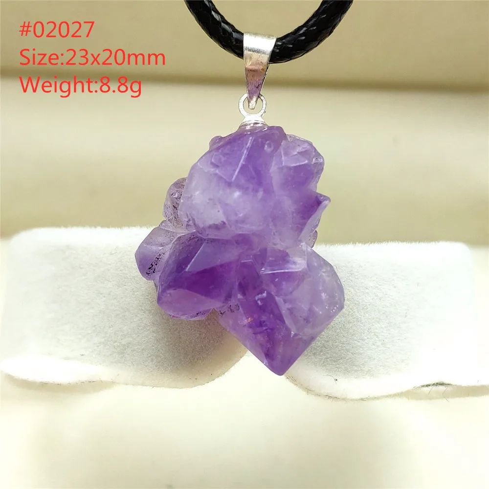 ASC02027 (3)