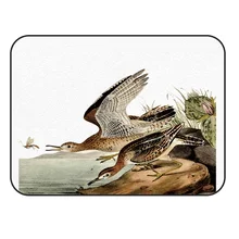 CHARMHOME мягкий ковер Противоскользящий ковер Бартрам Бекас ковер для гостиной коврик для домашнего декора