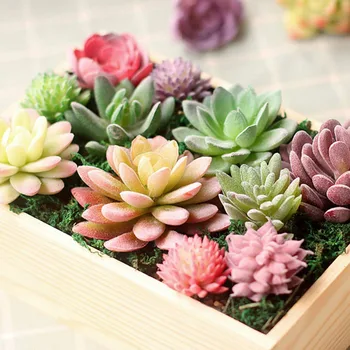 

14pcs Artificial Succulent Flocked Plant Fake Lotus Landscape Home Decor No Pot Outdoor Garden Decor