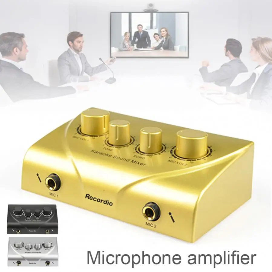 Mini Power Amplifier Dual Microphone Jack Echo Tone Volume Adjustments Power Audio Cable Mini Subwoofer Stereo Bass Audio Player