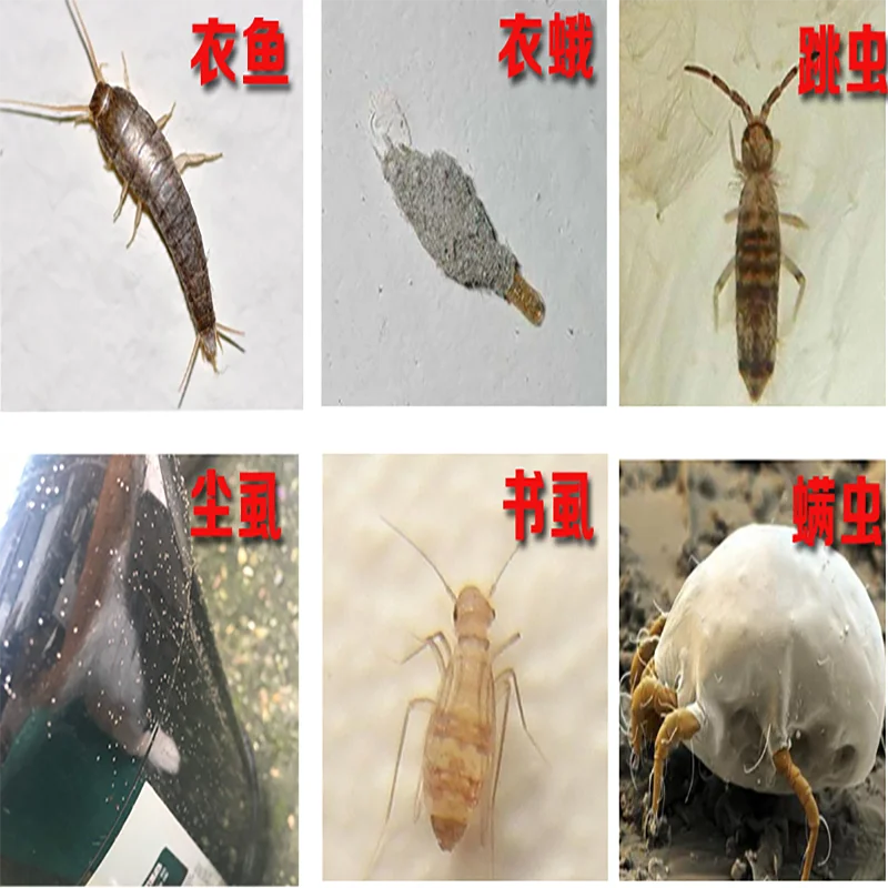 Lice disinfection scenies clean spray to kill head lice, pubic lice, scabies, eggs, mites, non-irritating lice spray