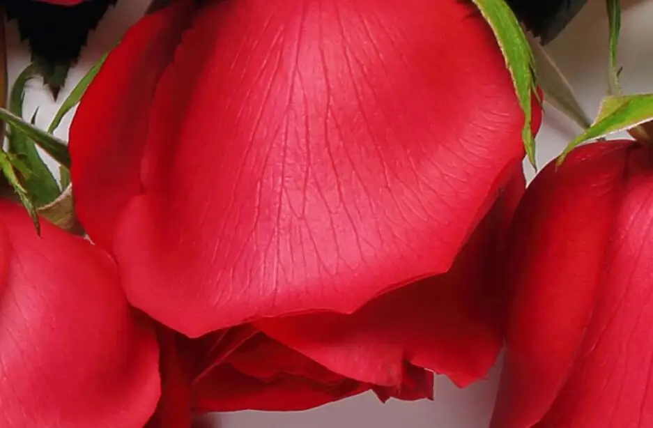 QQ截图20190921155533